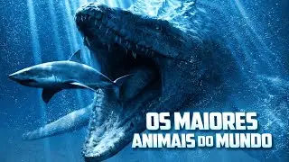 OS MAIORES MONSTROS  DA TERRA QUE A CI&Ecirc;NCIA J&Aacute; DESCOBRIU 😱