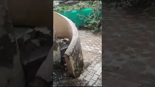 Lodhi Colony government quarters NDMC area
