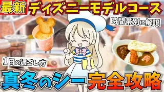 【1day】冬のディズニーシーのおすすめ回り方を徹底解説！アトラクションに乗る順番や時間帯別の行動などシェアします♩