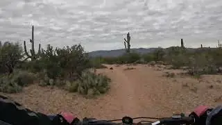 Cactus Forest Trail Time Warp - Saguaro National Forest December 2025