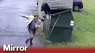 Principal finds bear in school bin