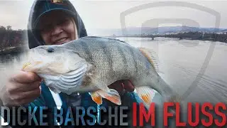 So f&auml;ngst du BARSCHE im FLUSS | Raubfischangeln | Barschangeln