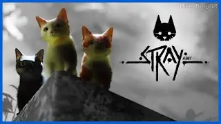Stray - Um Lugar Quase Abandonado