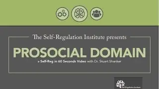 The Prosocial Domain | The Self-Regulation Institute with Dr. Stuart Shanker