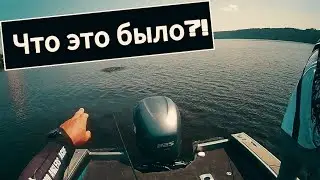 Интересный кадр запечатлели во время турнира Grundens Pal Open 2024