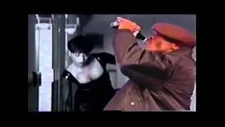 flava videos