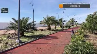 Стрим Сочи Адлер Сириус Прямой эфир через restream.su