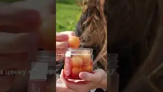 Ромовые бабы в банке - новый хит. Подробнее в описании.. #pastry #кондитер #shorts