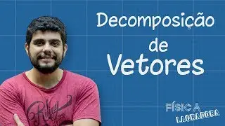 Decomposição de Vetores [Física Lacradora]