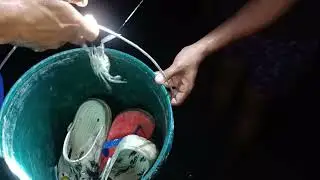 Manulo sa baybayin
