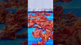 Dried Tomato Chips Washing Cleaning Machine, Gentle, Efficient Cleaning for Dried Tomatoes #tomato