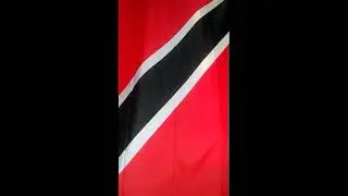Trinidad A.  Author House $$$ Schemes