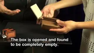 Rattle Box by Viking Magic / SEO MAGIC USA