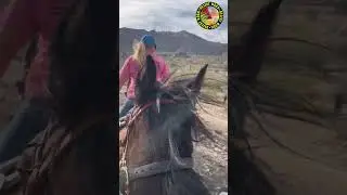 Desert mountain horse ride, starring Fish-hook Cactus, Blooming Saguaro, and Rocks!!