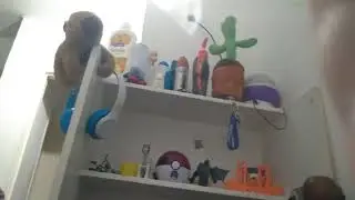 Mi  renesto.