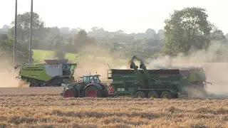 R&R Farms Wheat Harvest & Planting 2021 ~ Claas, Fendt, JCB