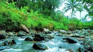 Serene River Flow &ndash; Nature Therapy for Stress Relief & Sleep Enhancement