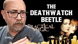 The Deathwatch Beetle In Practical Magic - an Omen of Death