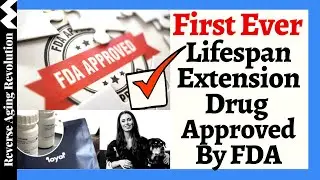 FIRST EVER Lifespan Extension Drug APPROVED By FDA - Dogs First To Unlock Human Aging