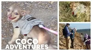 Coco's First Adventure!