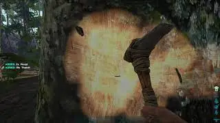 Invasion of dodos!!! ark the hunted