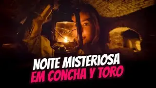 Tudo o que você precisa saber sobre o tour noturno em Concha y Toro