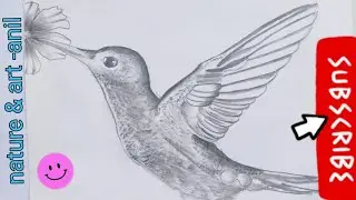 How to draw Hummingbird # हमिंग बर्ड फुलोसे रस निकालते हुए|# Hummingbird flowers se rus nikale hue