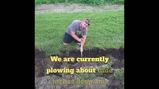 Compact Tractor Struggling to Pull a Plow #tractor #farmlife #plow #farmequipment #gardening