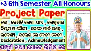 +3 6th Semester ll Project Paper Detail Explain ll All Honours ll How To Write Project Paper In Odia