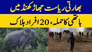 20 People Killed in Elephant Attack in Indian State of Jharkhand | Dawn News