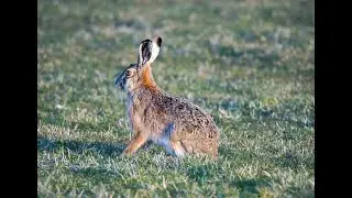 Baltrum Ostern 2020