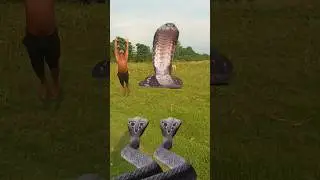 Namo Narayana Namo har har senek aya hara hara Shambhu short video