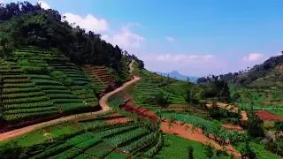 CENTRAL JAVA | INDONESIA BEAUTIFUL | 4K