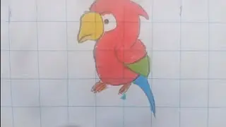 How to draw a cute bird step by step drawing tutorial. Cute animals drawing easy step by step ​