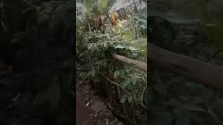 Air terjun montel muria kudus
