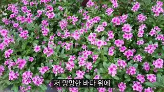 엄마가 부르는 저 멀리 뵈는 나의 시온성