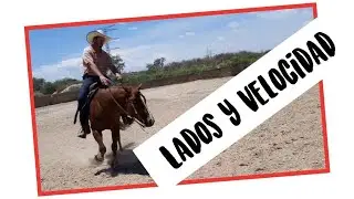 #Mole - corregir lados y trabajar velocidad