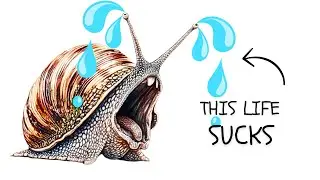 Why It Sucks to Be Born as a Snail
