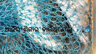ଆଜିର ଶିକାର ବାଲିଆ ମାଛ , କେମିତି ଶିକାର ହେଲା  #vlog #fish #fishing 