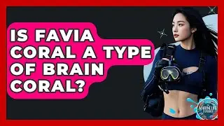 Is Favia Coral A Type Of Brain Coral? - The Marine Life Explorer