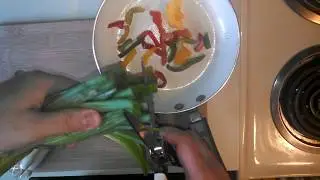 LE GUSTO Heavy Duty Kitchen Shears Review
