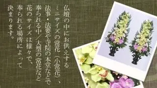 【御寺院用常花　華】　常花とは？