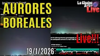 AURORES BOREALES en LIVE! 19jan26!!!