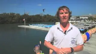 Swim Review