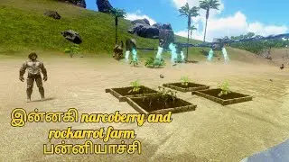 இன்னகி narcoberry and rockarrot farm பன்னியாச்சி