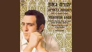 נומי נומי