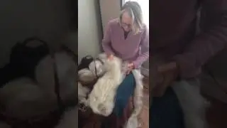 Making Roving from a Batt Using a Diz