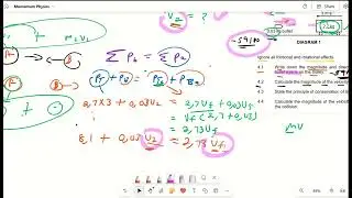 Momentum Exam Practice Novemer 2023 Paper 1