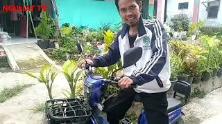 Trend Sepeda Listrik