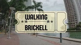 Walking around Brickell bay / 2024 #miami #miamilife